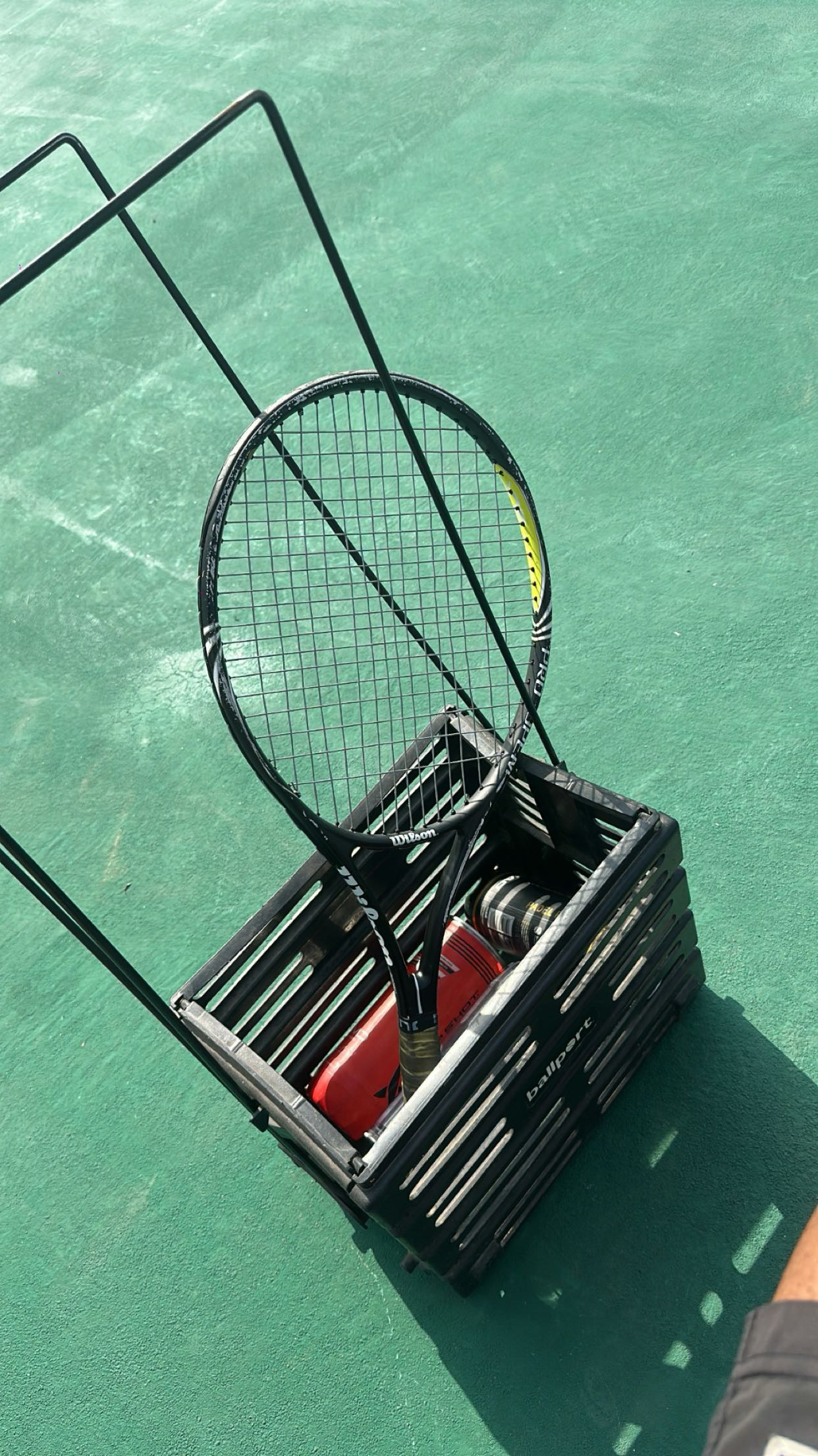 Monaliza Tennis Club night lighting